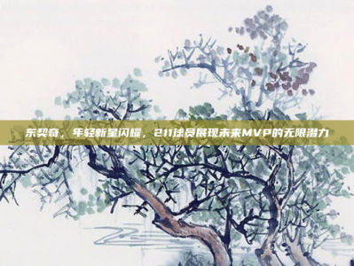 东契奇，年轻新星闪耀，211球员展现未来MVP的无限潜力