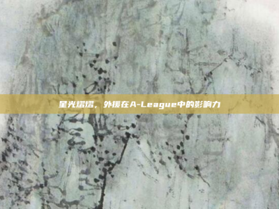 星光熠熠，外援在A-League中的影响力