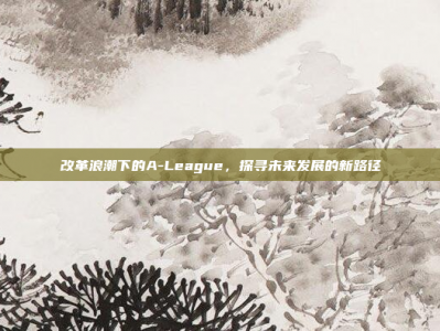 改革浪潮下的A-League，探寻未来发展的新路径