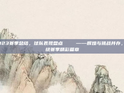 2023赛季总结，球队表现盘点 📊——辉煌与挑战并存，共绘赛季精彩篇章