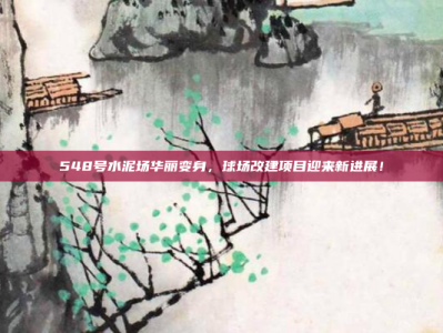 548号水泥场华丽变身，球场改建项目迎来新进展！