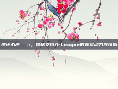 球迷心声🎤，揭秘支持A-League的真实动力与情感