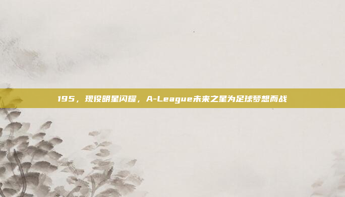 195，现役明星闪耀，A-League未来之星为足球梦想而战