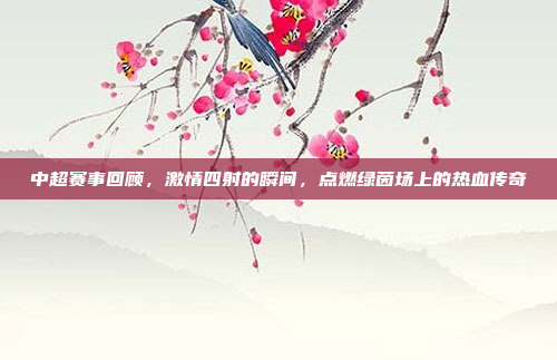 中超赛事回顾，激情四射的瞬间，点燃绿茵场上的热血传奇