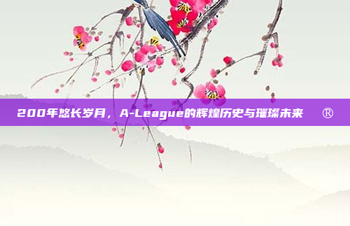 200年悠长岁月，A-League的辉煌历史与璀璨未来🔮