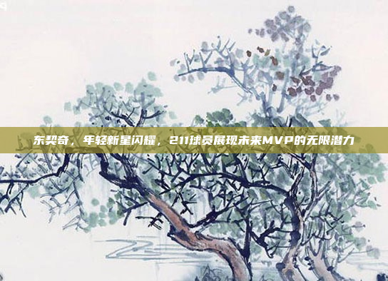 东契奇，年轻新星闪耀，211球员展现未来MVP的无限潜力