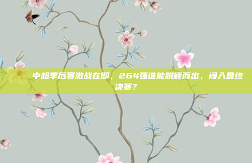 🎉 中超季后赛激战在即，264强谁能脱颖而出，闯入最终决赛？