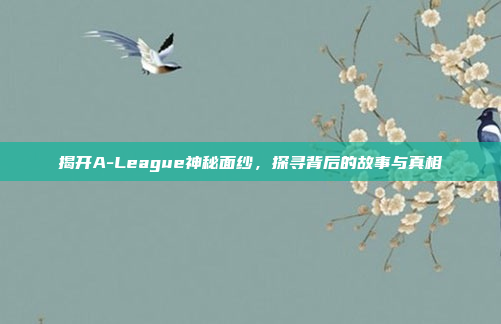 揭开A-League神秘面纱，探寻背后的故事与真相