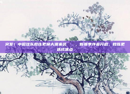 突发！中超球队教练更换大潮来袭🌀，新赛季序幕开启，教练更迭成焦点