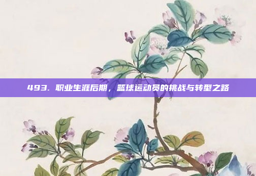 493. 职业生涯后期，篮球运动员的挑战与转型之路