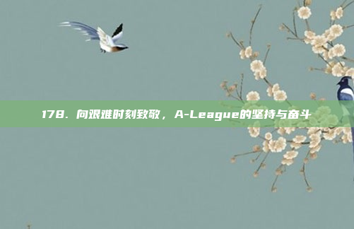 178. 向艰难时刻致敬，A-League的坚持与奋斗