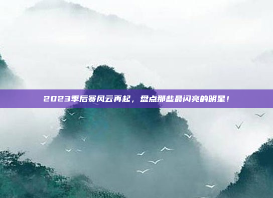 2023季后赛风云再起，盘点那些最闪亮的明星！