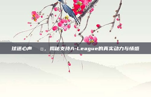 球迷心声🎤，揭秘支持A-League的真实动力与情感