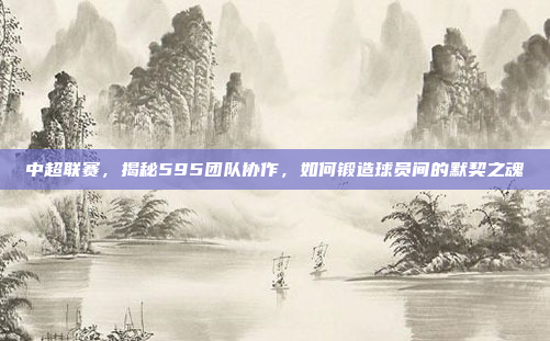 中超联赛，揭秘595团队协作，如何锻造球员间的默契之魂