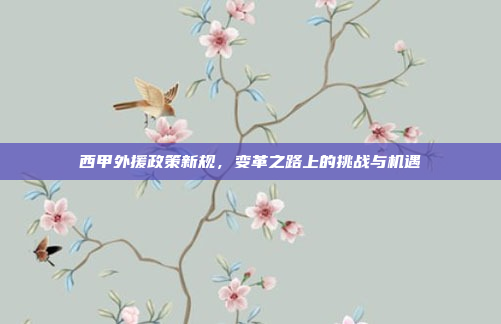 西甲外援政策新规，变革之路上的挑战与机遇