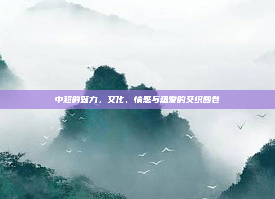 中超的魅力，文化、情感与热爱的交织画卷