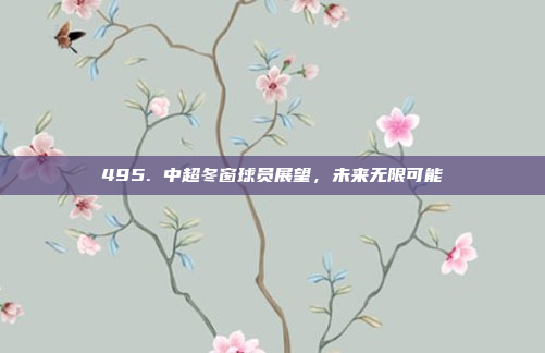 495. 中超冬窗球员展望，未来无限可能