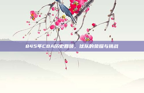 845年CBA历史回顾，球队的荣耀与挑战