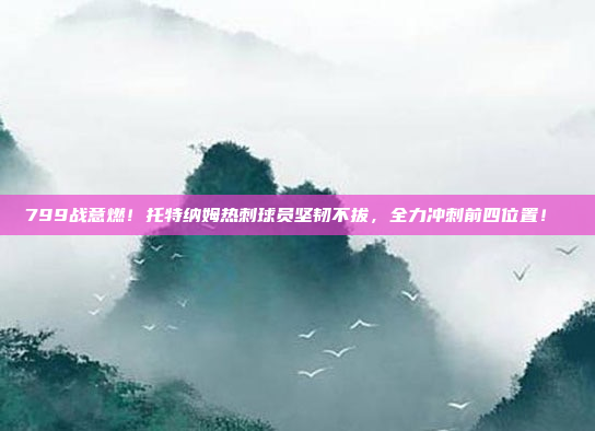 799战意燃！托特纳姆热刺球员坚韧不拔，全力冲刺前四位置！⚡️