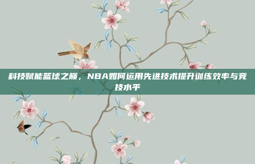 科技赋能篮球之巅，NBA如何运用先进技术提升训练效率与竞技水平