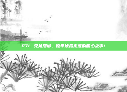 871. 兄弟捆绑，德甲球员家庭的暖心故事！