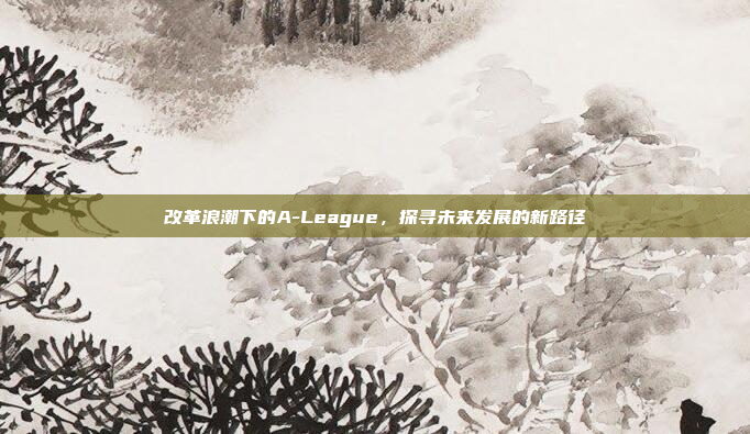 改革浪潮下的A-League，探寻未来发展的新路径