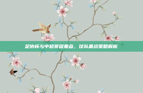 足协杯与中超赛程重叠，球队备战策略解析