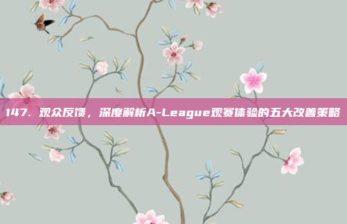 147. 观众反馈，深度解析A-League观赛体验的五大改善策略