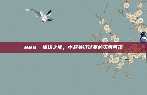 289⚡ 球场之战，中超关键球员的英勇表现